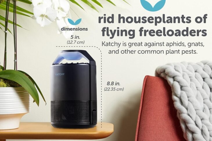 Katchy Indoor Insect Trap Review